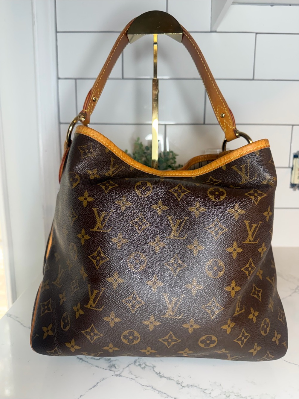 Louis Vuitton Delightful PM - Monogram Canvas
